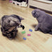 Andiker 12-piece sturdy and heavy plastic interactive cat spiral spring toys for kittens in 4 bright colors