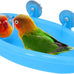 Wontee Bird Bath Mirror Toy for Small Breeds Parrot Canary Budgies Parakeets