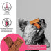 Bixbi liberty functional healthy hip and joint dog jerky treats, usa made beef recipe, 5 ounces