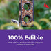 lyric delite 5 lb no waste bird seed mix for outside feeders attracts buntings chickadees finches