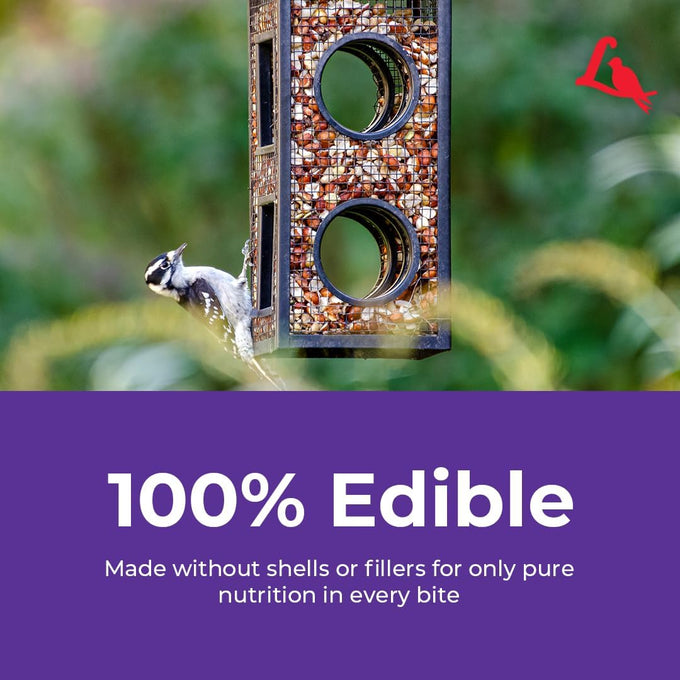 lyric delite 5 lb no waste bird seed mix for outside feeders attracts buntings chickadees finches