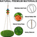 Bird Swing with Wooden Perch Stand for Parakeets, Cockatiels, Conures, Adjustable Rope and Rattan Chew Balls Cage Accessory