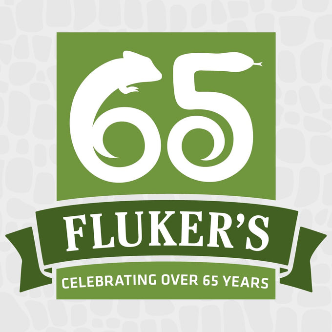 Fluker's 1 oz freeze-dried river shrimp for lizards, reptiles, birds, fish, and hedgehogs, a nutrient-packed treat