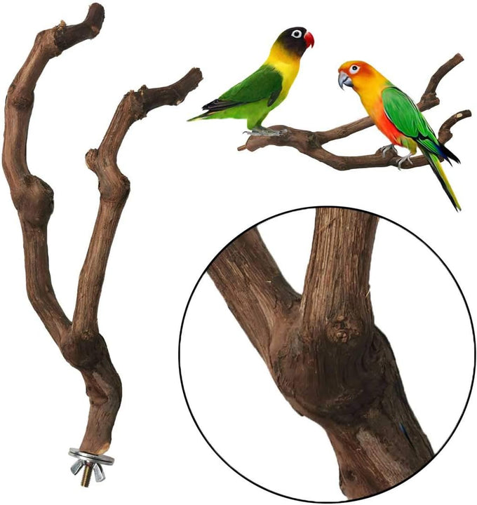 kathson natural parrot bird stand pole wild grape stick paw grinding fork parakeet climbing standing branches toy chewable cage accessories for small budgies cockatiels lovebirds set
