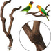 kathson natural parrot bird stand pole wild grape stick paw grinding fork parakeet climbing standing branches toy chewable cage accessories for small budgies cockatiels lovebirds set