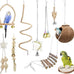 Natural wood 9-piece birdcage toy set with coconut hideaway, ladder, bird perch stand, and rope bungee toys for parrots and cockatiels