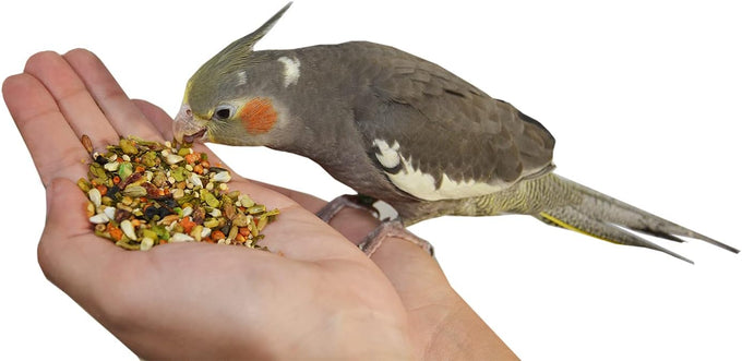 Cockatiels and Green Cheek Conures love 2lb All Natural Garden Blend Bird Food, no added preservatives or sweeteners