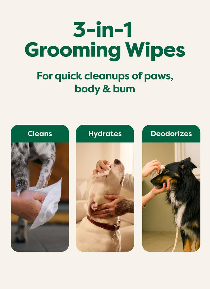 Earth Rated 3-in-1 Hypoallergenic Dog Wipes, Lavender Scented, 100 Count, 8" x 8", Biobased