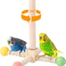 frgkbtm bird perch cage toy wooden platform play gym for parrots, green cheeks, lovebirds, chinchillas, hamsters, budgies