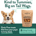 Portland Pet Food Company Grain-Free Pumpkin Dog Treats for Small, Medium & Large Dogs - 5 oz