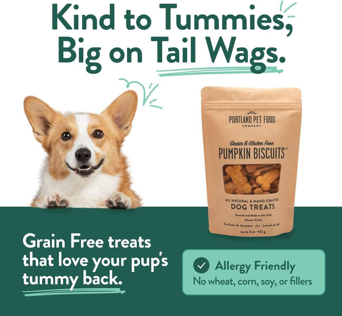 Portland Pet Food Company Grain-Free Pumpkin Dog Treats for Small, Medium & Large Dogs - 5 oz