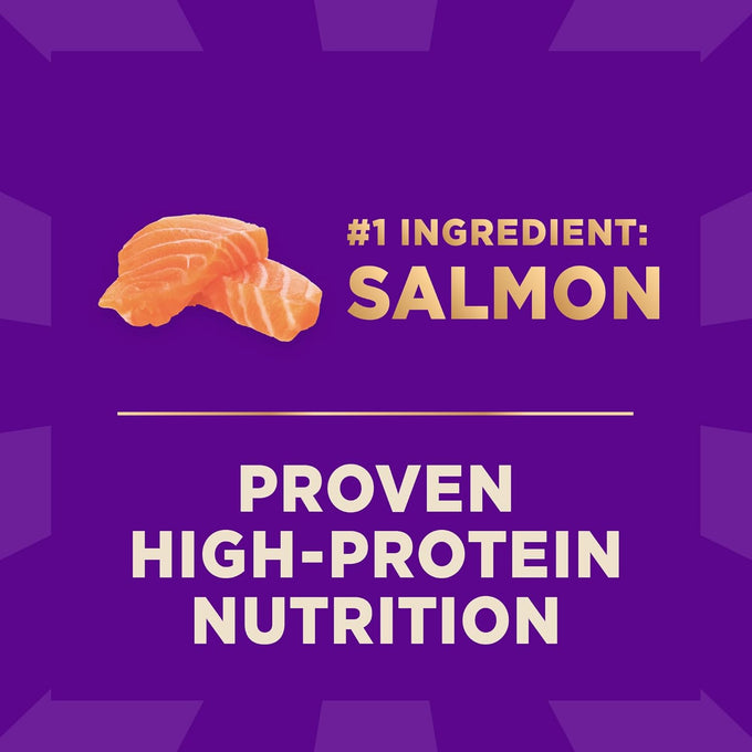 Wellness CORE+ Sensitive Skin and Stomach Adult Dry Dog Food, High Protein, Chicken Free, Salmon and Rice Recipe, 4 lb Bag