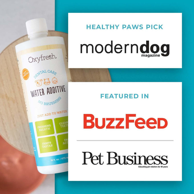 oxyfresh premium pet dental care solution 16 oz water additive for dogs and cats vet recommended
