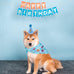 Dog Birthday Bandana Set for Large Medium Small Dogs Pet - Blue, Adjustable Hat with Numbers 0-8