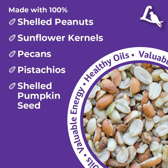 lyric delite 5 lb no waste bird seed mix for outside feeders attracts buntings chickadees finches