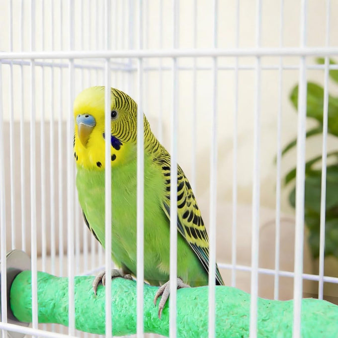2PCS bird beak grinding stones for parrots, non-slip claw trimmers, chew toys for cockatiels, budgies, conures, and more