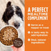 Instinct Healthy Cravings Grain-Free Wet Dog Food Topper, 12 Pouches