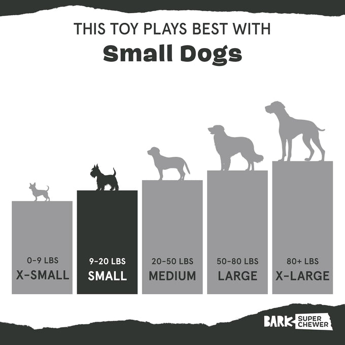 Barkbox Macaruffs plush dog toy bundle for small dogs with all-natural rubber and squeaker fun
