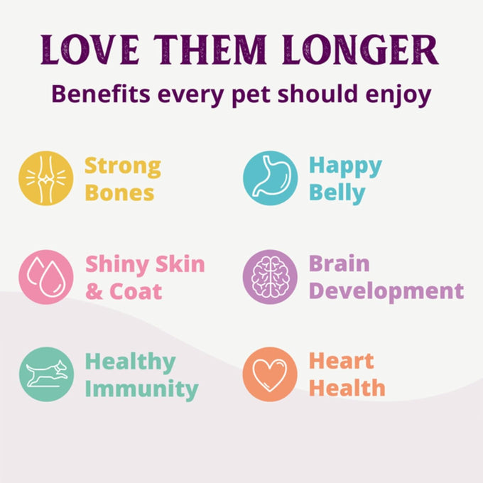 Health Extension 95% Chicken Grain-Free Wet Dog Food, 5.5 oz