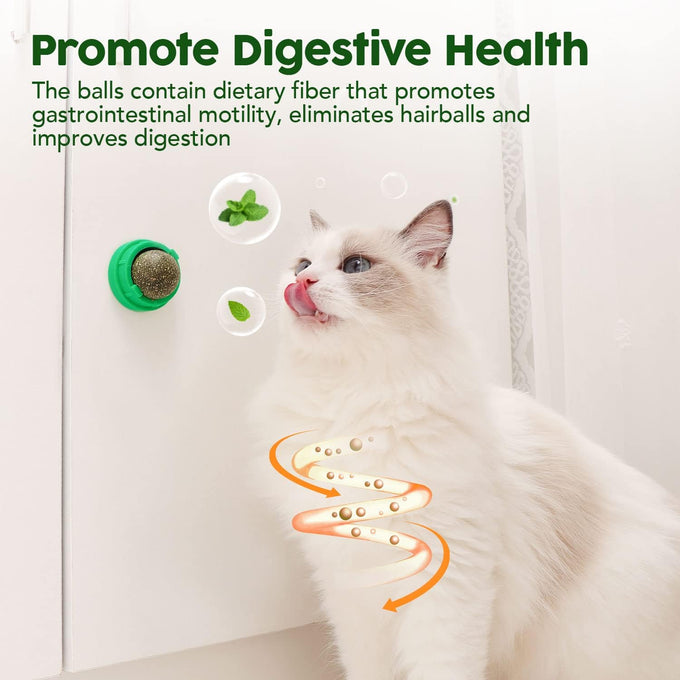 Potaroma catnip toys balls 4 Pcs green, edible kitten silvervine, healthy kitty teeth cleaning dental chew toys