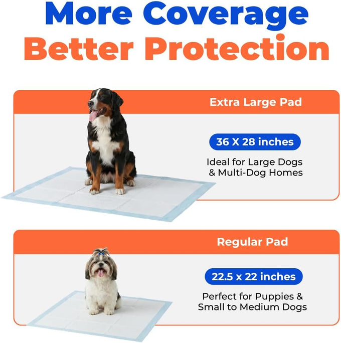 Baby Blue XL Puppy Pads 100 Count - Super Absorbent, Quick-Dry, Odor Control, and Leak-Proof for Indoor Dogs