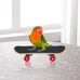Wontee bird toys mini shopping cart skateboard ring toy set for parrot training and play (3-pack, assorted)