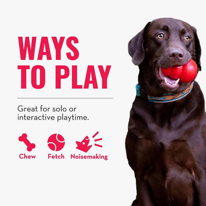 Kong Wubba Dog Toy for Tug of War & Fetch - Durable Nylon, Squeaker, for XL Dogs, Random Color