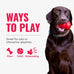 Kong Wubba Dog Toy for Tug of War & Fetch - Durable Nylon, Squeaker, for XL Dogs, Random Color