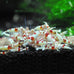 SunGrow Shrimp Rocks for Crayfish, Hermit Crab, Snails, Aquarium Decor, Crystal Red, Amano, Ghost Shrimps, Nano Tank Accessories