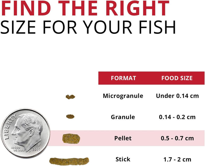 Fluval Bug Bites Cichlid Fish Food, Pellets for Medium to Large Fish, 3.53 oz, Nutrient-Rich Black Soldier Fly Larvae, Made in Canada