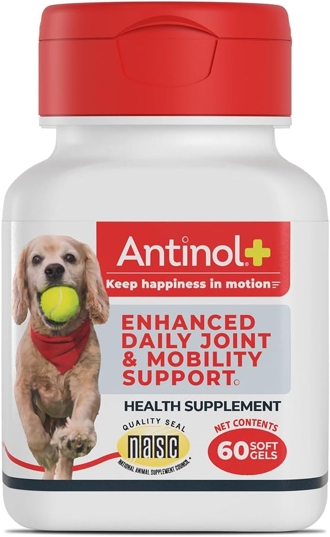 Antinol Plus Dog Joint Supplement with Green-Lipped Mussels and Krill Oil for Mobility and Health