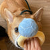 HomeSoGood Squeak Plush Toy - Durable Soft Pet Supplies Dog Toy for Dog Wedding Gift