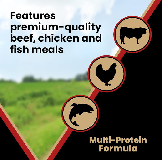 VICTOR Super Premium Gluten-Free High Protein Dog Food, 5lbs