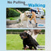prong-dog-training-collar-adjustable-size-dog-pinch-no-pull-collar-with-quick-release-buckle-for-small-medium-large-dogs