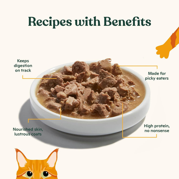 Made by Nacho Wet Cat Food in Sustainably-Caught Salmon with Bone Broth Gravy (12) 3 oz. Pouches