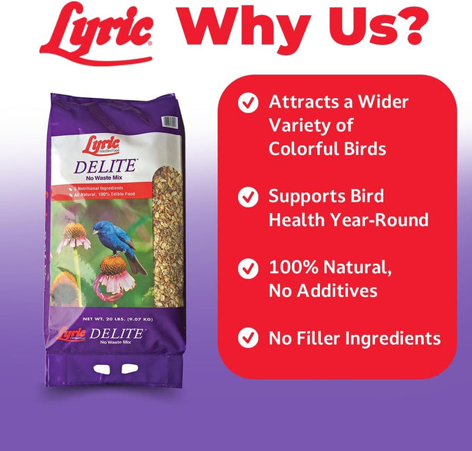 lyric delite 5 lb no waste bird seed mix for outside feeders attracts buntings chickadees finches