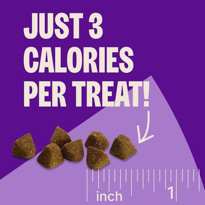 Wellness CORE Tiny Trainers Natural Grain-Free Dog Treats, Turkey and Pomegranate Recipe, 6 oz Bag, Bite-Sized Soft Rewards for All Breeds