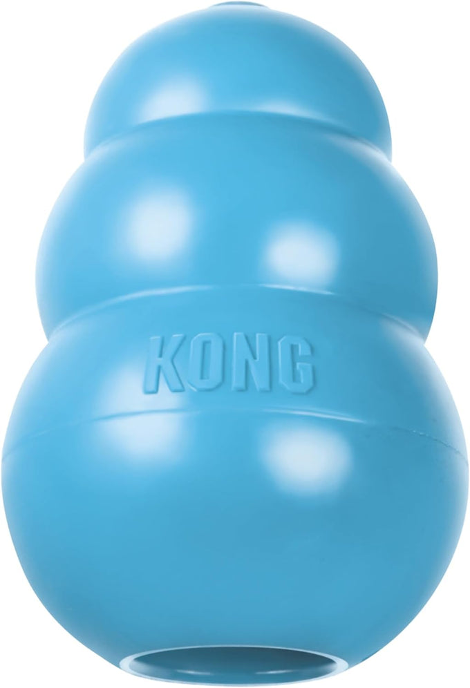Kong puppy natural rubber soft chew toy for small puppies blue color gentle on teeth