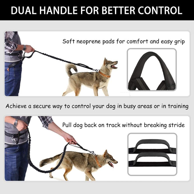 Lanney Hands-Free Dog Leash for Medium Large Dogs with Zipper Dual Handle and Retractable Bungee