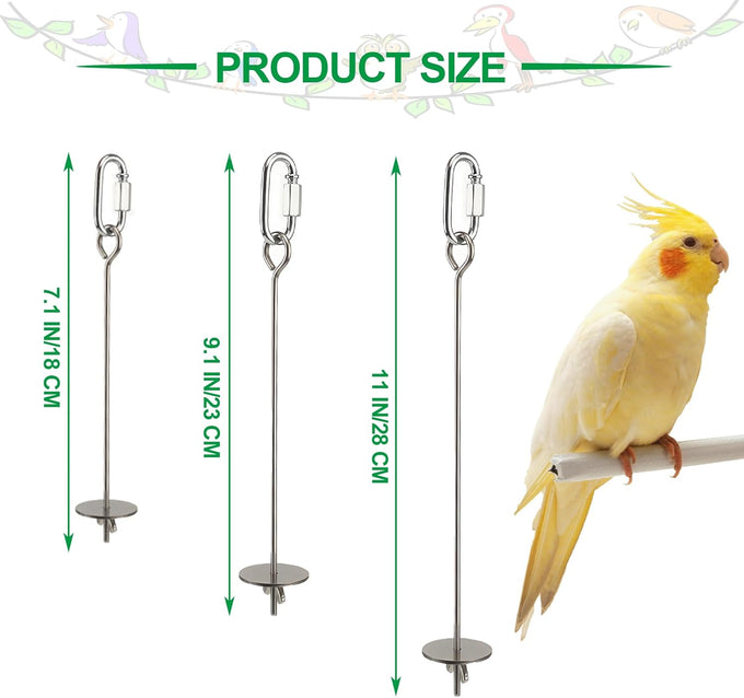 3-Pcs Stainless Steel Parrot Fruit & Vegetable Skewer Toy 6.9in/17.5cm, 8.9in/22.5cm, 10.8in/27.5cm