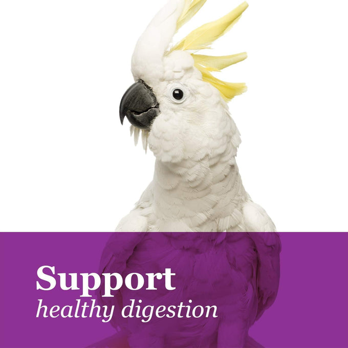 F.M. Brown's Tropical Carnival Big Bites Macaw Food for Daily Digestive Health, Vitamin Fortified, 5 lb