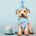 Dog Birthday Bandana Set for Large Medium Small Dogs Pet - Blue, Adjustable Hat with Numbers 0-8
