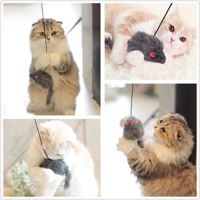 Kalimdor Retractable Interactive Cat Toys, Teaser Toy for Indoor Cats Kitten Play Chase Exercise (2 Pack)