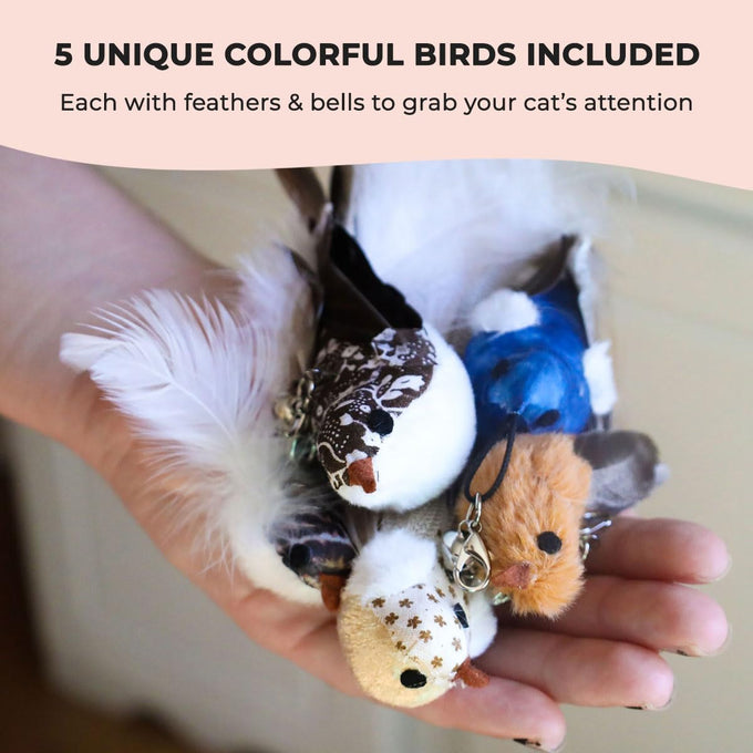 Whiskertons Interactive Bird Simulation Cat Toy Set for Indoor Cats with Suction Base, 5 Replacement Birds, Feathers & Bells