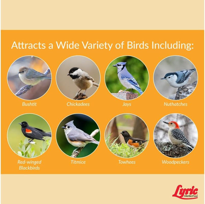 Lyric Chickadee Wild Bird Seed - 20 lb Bag - Sunflower & Nut Premium Wild Bird Seed for Chickadees and Outside Feeders