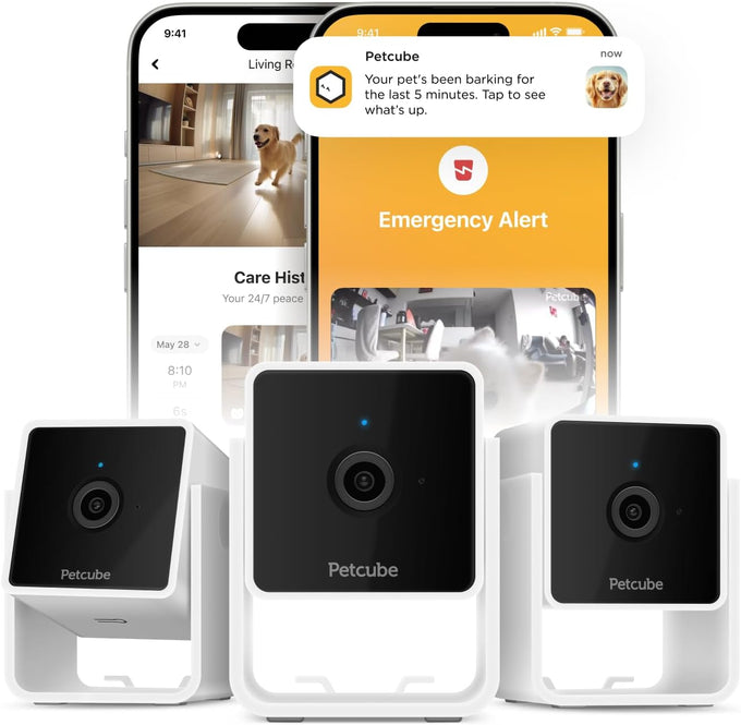 Petcube Cam | 1080p Wi-Fi Pet and Security Camera with 2-Way Audio, Night Vision, and Smart Alerts