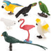 10-piece plastic parrot model toys, flamingo bird figurine collectibles, kid-friendly educational playset