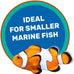 Hikari Marine-S Pellets Fish Food for Smaller Marine Fish with High Protein and Color Enhancing Benefits