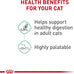 Royal Canin Feline Care Nutrition Digestive Care Adult Thin Slices in Gravy Cat Food, 3 oz (Pack of 12)