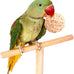 parrot chew toys 30pcs 1.2inch rattan wicker balls for parakeet conures hamsters bunny toys